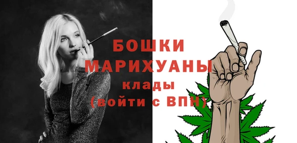 spice Дмитриев