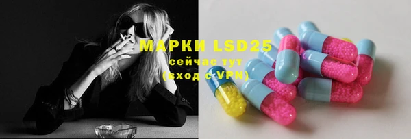 spice Дмитриев