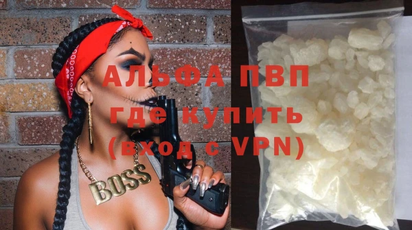 spice Дмитриев