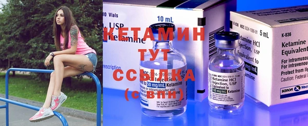 spice Дмитриев