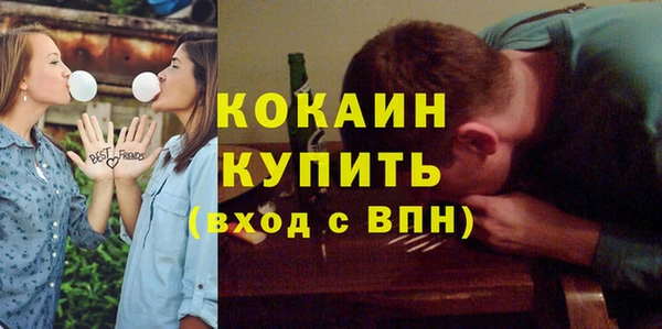 spice Дмитриев