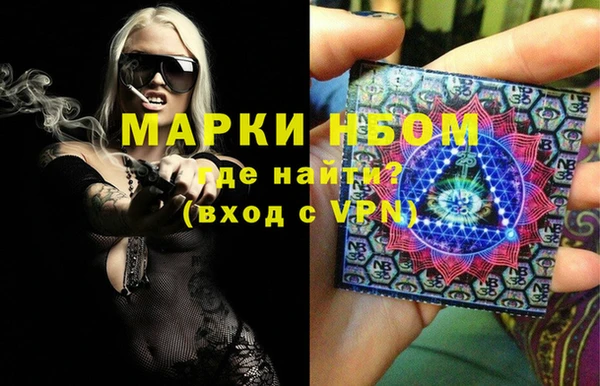 spice Дмитриев