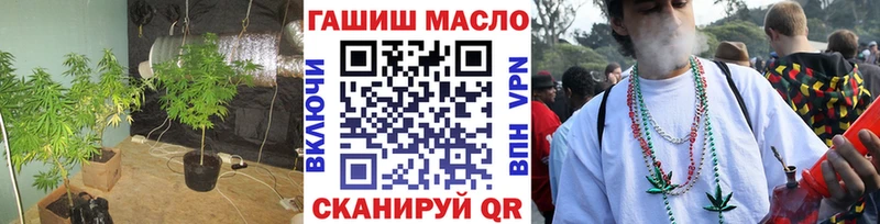 Купить закладки  Фокино  ТГК концентрат 